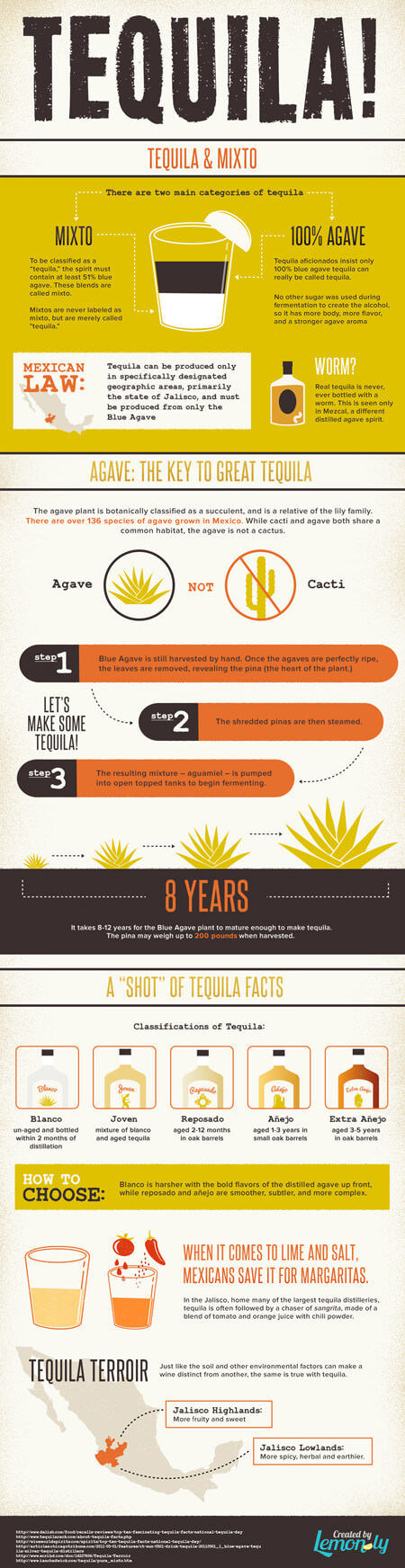 Tequila Facts For Cinco De Mayo