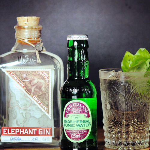 elephant gin and fentimans herbal tonic