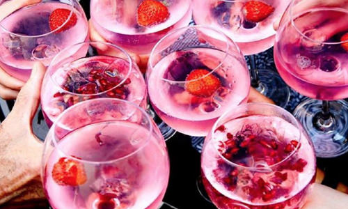 edgerton pink gin and tonic serve